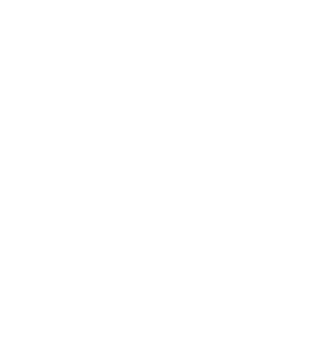 Fundatia Fan Courier